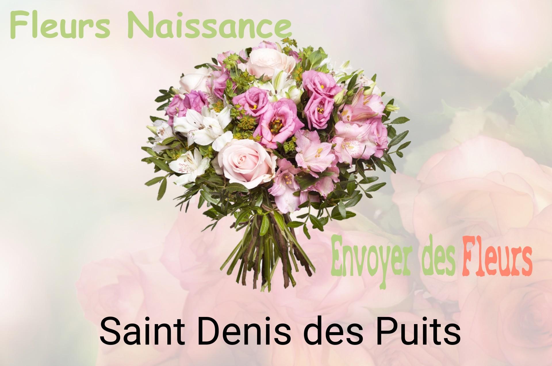 Bouquet de fleurs de naissance livré à Saint-Denis-des-Puits